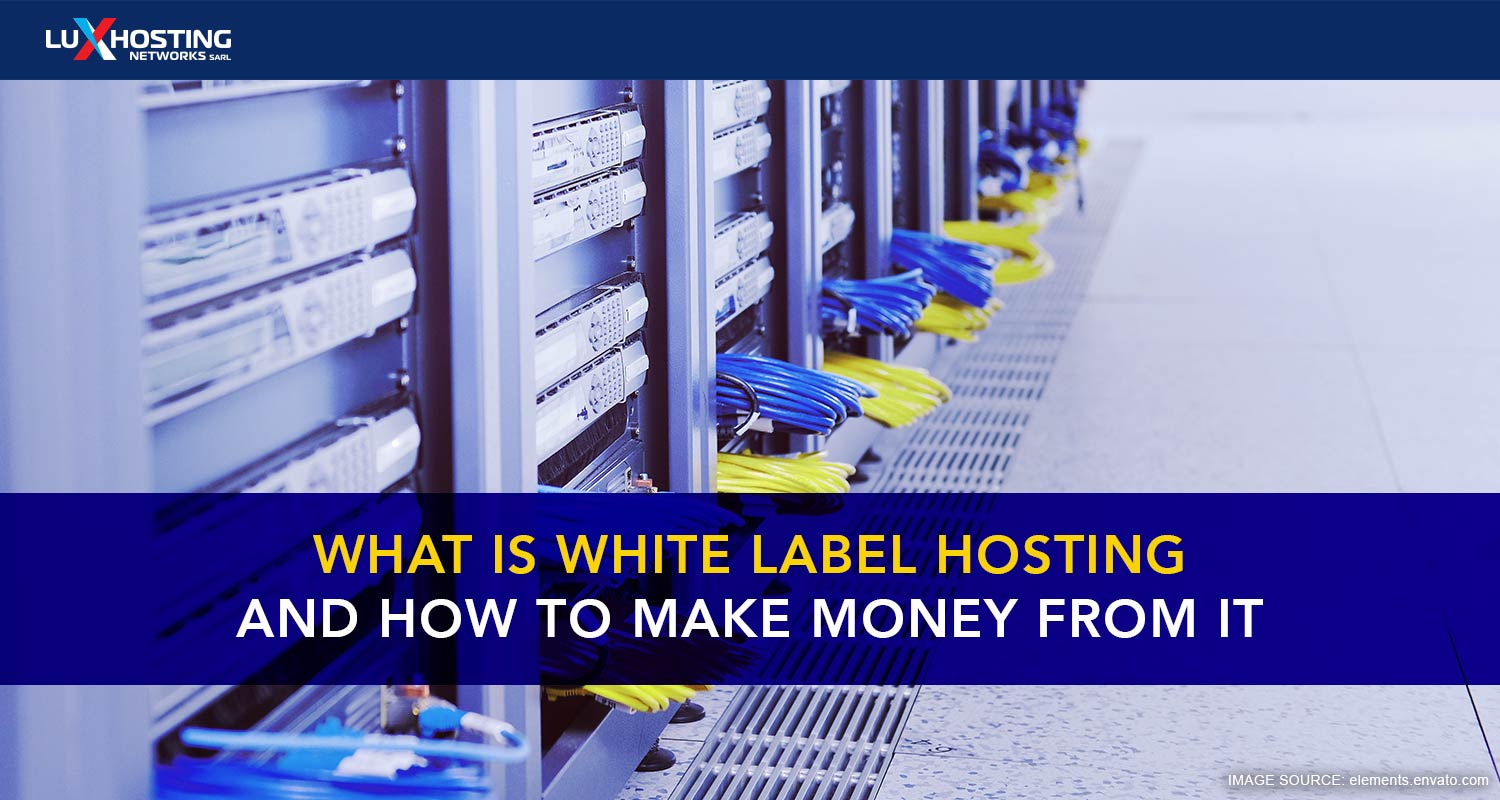 How to use White Label Hosting to Make Money